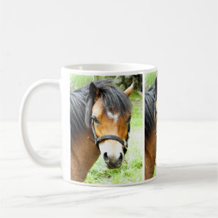 CUTE BROWN PONY KOFFIEMOK