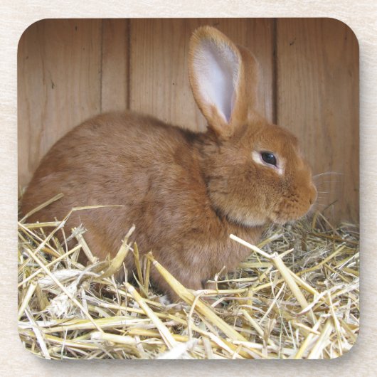 Cute Brown Rabbit in Fresh Hay Bier Onderzetter (Voorkant)