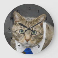 Cute Brown Tabby Cat Green Eyes Blue Stropdas