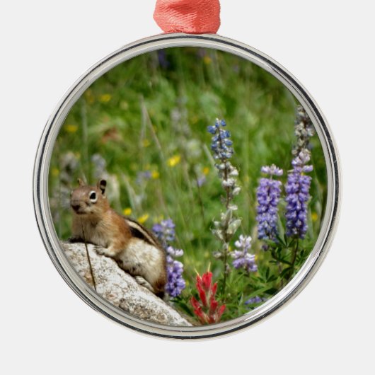 Cute Brown White Chipmunk Metalen Ornament (Voorkant)