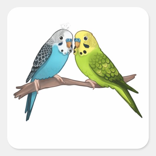 Cute Budgies Vierkante Sticker (Voorkant)