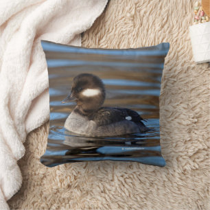 Cute Bufflehead Duck op Sunlit Watts Kussen