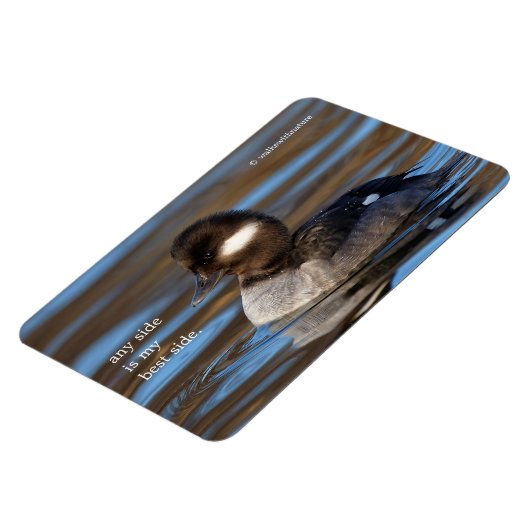 Cute Bufflehead Duck op Sunlit Watts Magneet (Linkerzijde)