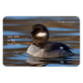 Cute Bufflehead Duck op Sunlit Watts Magneet (Horizontaal)