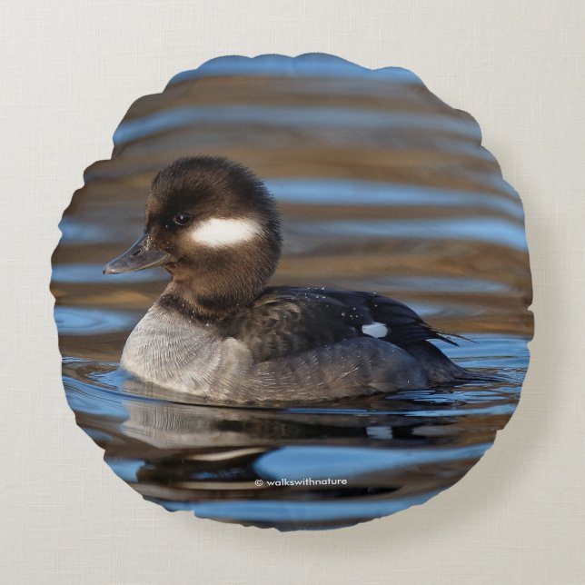 Cute Bufflehead Duck op Sunlit Watts Rond Kussen (Voorkant)