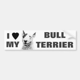 Cute Bull Terrier dog art Bumpersticker