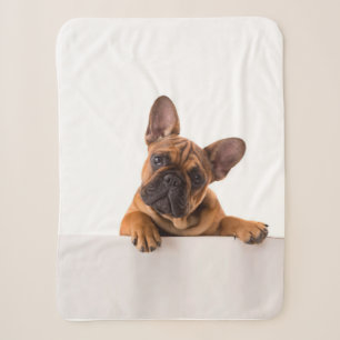 Cute Bulldog Echt gemeen, Engelse Bulldog Sherpa Deken