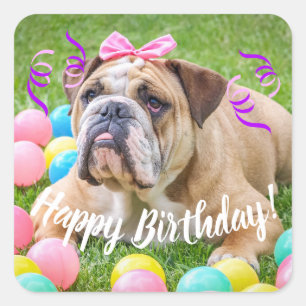 Cute Bulldog Happy Birthday Vierkante Sticker