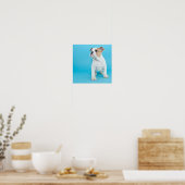 Cute Bulldog Puppy Poster (Keuken)