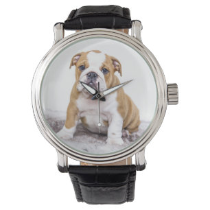 Cute Bulldog Puppy Sitting Down Horloge