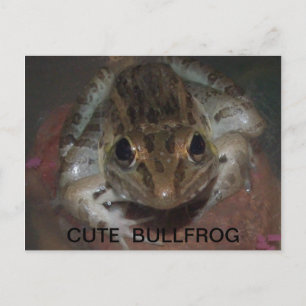 CUTE BULLFROG BRIEFKAART