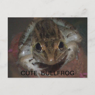 CUTE BULLFROG BRIEFKAART