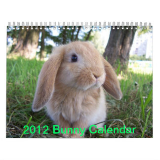 Cute Bunnies Kalender
