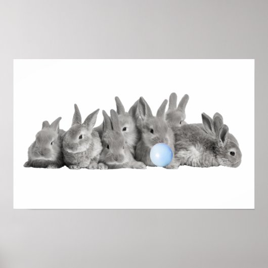 Cute Bunnies Rabbit Bubble Gum Nursery Child Poster (Voorkant)