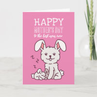Cute Bunny Animal Cartoon Happy Moederdag