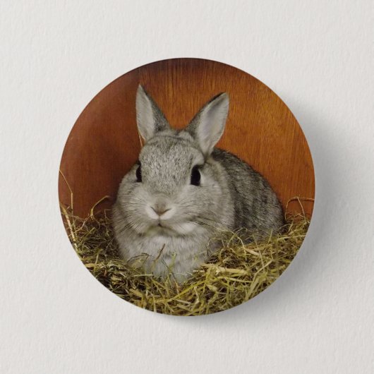 Cute Bunny Button Badge (Voorkant)