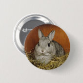 Cute Bunny Button Badge (Voorkant /achterkant)