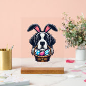 Cute Bunny Ear Saint Bernard Dog Easter Egg Owner  (Mariage)