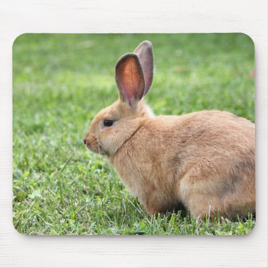 Cute Bunny Muismat (Voorkant)