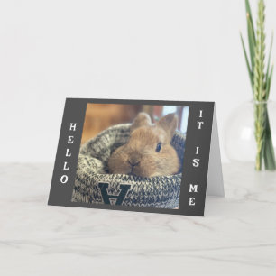 *CUTE BUNNY* PEELT UIT OM MERRY CHRISTMAS TE ZEGGE FEESTDAGEN KAART
