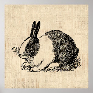 Cute Bunny Rabbit Animal Art Illustratie Poster