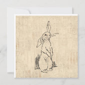 Cute Bunny Rabbit Art Script Background Kaart (Achterkant)
