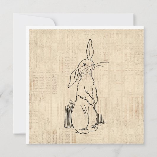  Cute Bunny Rabbit Art Script Background Kaart (Achterkant)