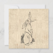  Cute Bunny Rabbit Art Script Background Kaart (Voorkant)