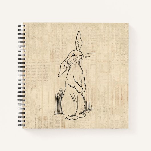 Cute Bunny Rabbit Art Script Background Notitieboek (Voorkant)