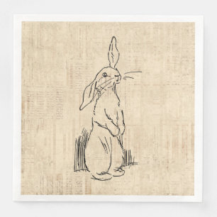 Cute Bunny Rabbit Art Script Background Servet
