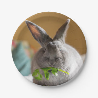 Cute Bunny Rabbit Eating Salad Paper Borden Papieren Bordje