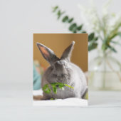 Cute Bunny Rabbit Eating Veggies Briefkaart (Staand voorkant)