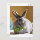 Cute Bunny Rabbit Eating Veggies Briefkaart (Voorkant / Achterkant)