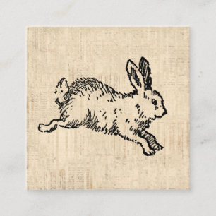 Cute Bunny Rabbit Illustration Script Art Informatiekaartje