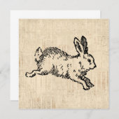 Cute Bunny Rabbit  Illustration Script Art Kaart (Voorkant / Achterkant)