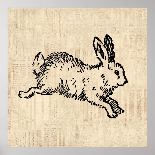 Cute Bunny Rabbit Illustration Script Art Poster (Voorkant)