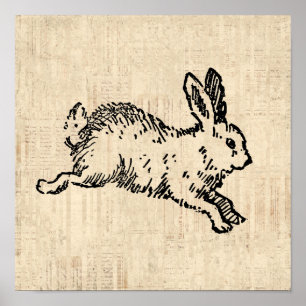 Cute Bunny Rabbit Illustration Script Art Poster