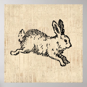 Cute Bunny Rabbit Illustration Script Art Poster