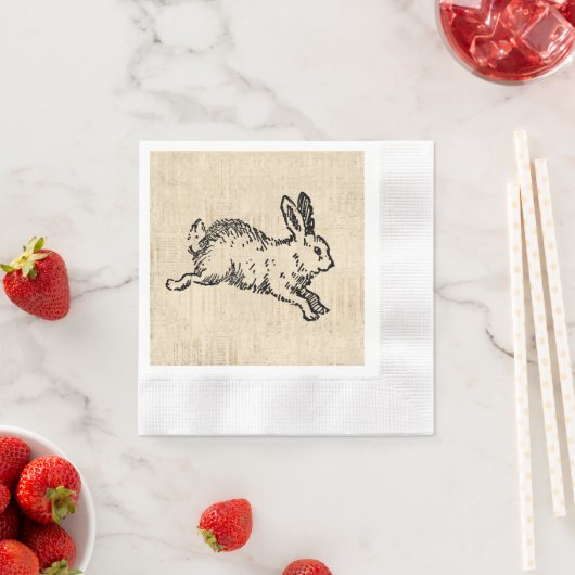 Cute Bunny Rabbit Illustration Script Art Servet (Insitu)