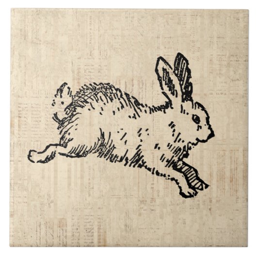 Cute Bunny Rabbit Illustration Script Art Tegeltje (Voorkant)