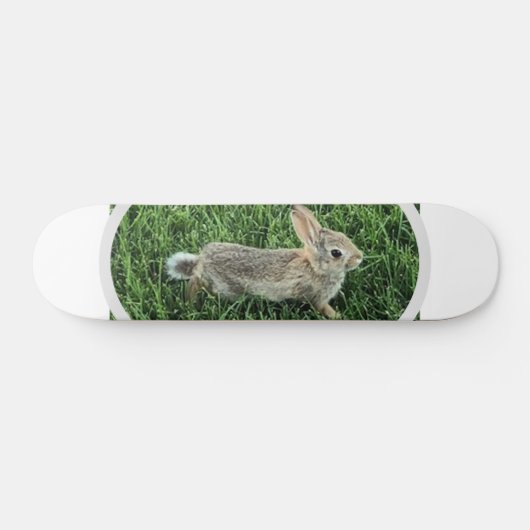 Cute Bunny Rabbit Skateboard (Horizontaal)
