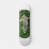 Cute Bunny Rabbit Skateboard (Voorkant)