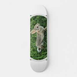 Cute Bunny Rabbit Skateboard
