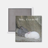 Cute Bunny Rabbits met Gezegde Magneet (Voorkant / Achterkant)