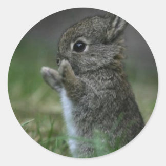 Cute Bunny Ronde Sticker