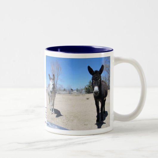 Cute Burros Friendship Tweekleurige Koffiemok (Rechts)