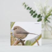 Cute Bushtit Songbird on Pear Tree Branch Briefkaart (Staand voorkant)