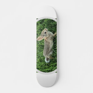 Cute Bushy Tail Bunny Rabbit Skateboard