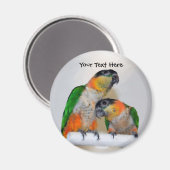 Cute Caique Parrot Pair Animal Magnet Magneet (Voorkant / Achterkant)