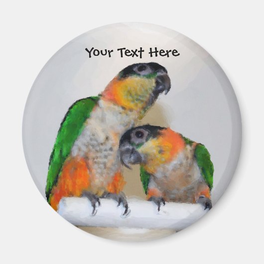 Cute Caique Parrot Pair Animal Magnet Magneet (Voorkant)